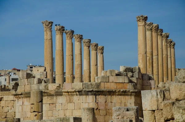 Rovine Dell Antica Città Efeso Capitale Dello Stato Israele — Foto Stock