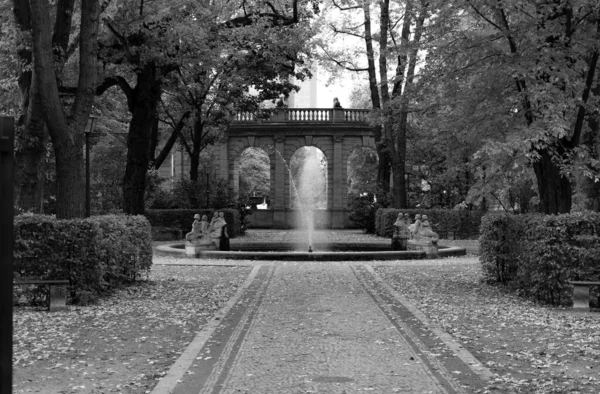 Prachtig Uitzicht Het Park Stad — Stockfoto