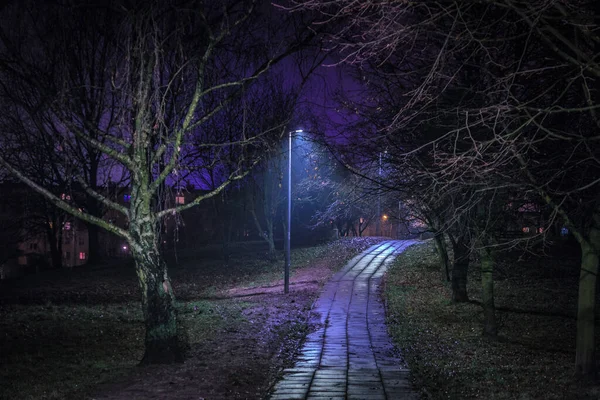 Vackert Landskap Med Stig Parken — Stockfoto