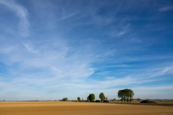 Bela Paisagem Com Campo Trigo Céu Azul — Fotografia de Stock