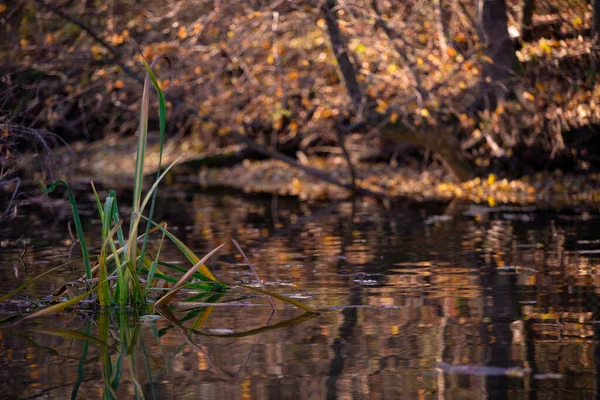 Magnifique Paysage Automne Avec Une Rivière Lac Arrière Plan — Photo