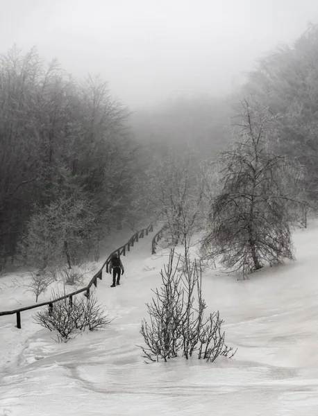 Krajobraz Zimowy Śniegiem — Zdjęcie stockowe