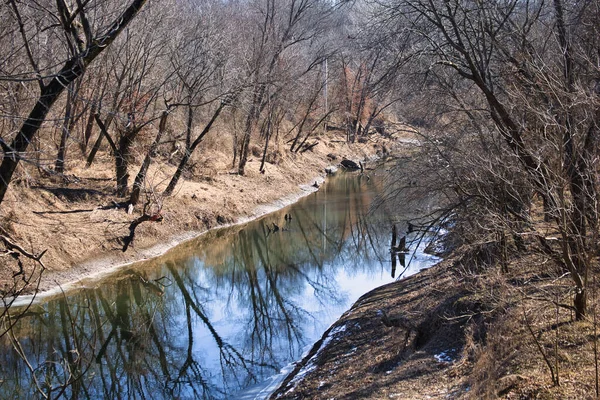 Fluss Wald — Stockfoto