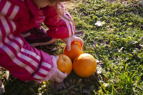 Gadis Kecil Dengan Jeruk — Stok Foto