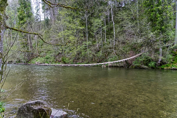 Hermoso Paisaje Con Río Bosque — Foto de Stock