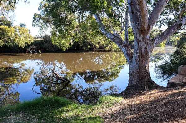 Prachtig Uitzicht Rivier Het Park — Stockfoto