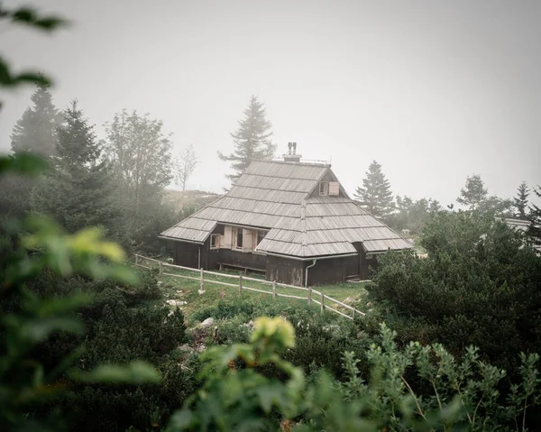 Beautiful View Forest Village — Stock Photo, Image