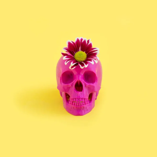Cráneo Con Una Flor Sobre Fondo — Foto de Stock