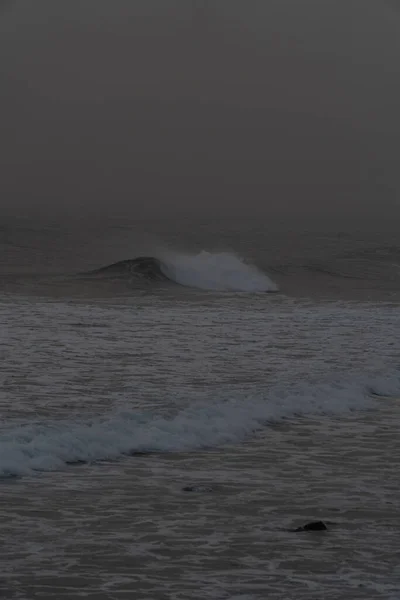 Belle Vue Sur Mer Nature — Photo