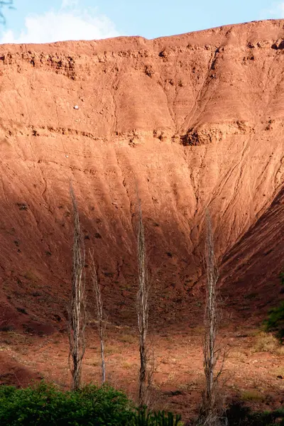 Landschaft Des Roten Felsens Der Wüste — Stockfoto