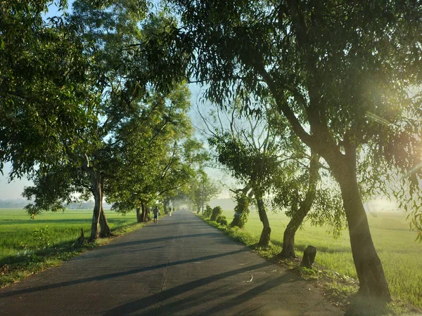 Droga Przez Zielone Drzewa Niebo — Zdjęcie stockowe