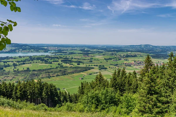 Incredibile Paesaggio Montano Con Alberi Verdi — Foto Stock