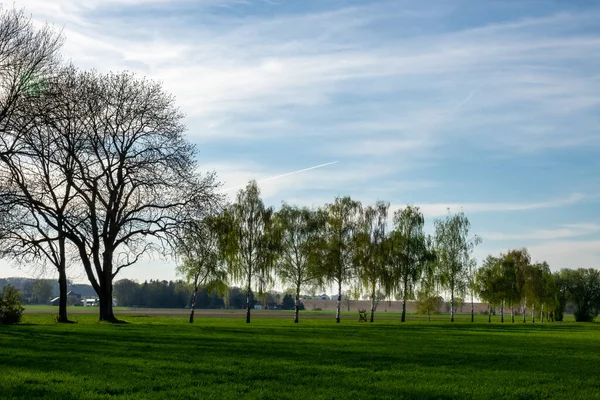 Parkın Güzel Manzarası — Stok fotoğraf