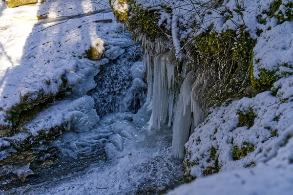 Belle Cascade Dans Forêt — Photo