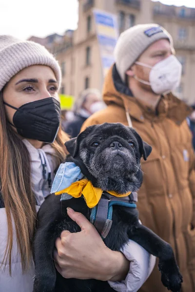 2022年2月 ウクライナと共に立つ ウクライナとロシアの戦争に対する抗議は積極的なウラジーミル プーチンを武装させた 地球規模の軍事衝突侵攻 — ストック写真