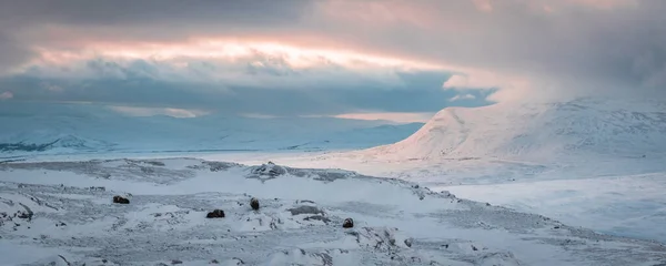 Hermoso Paisaje Con Montañas Cubiertas Nieve — Foto de Stock