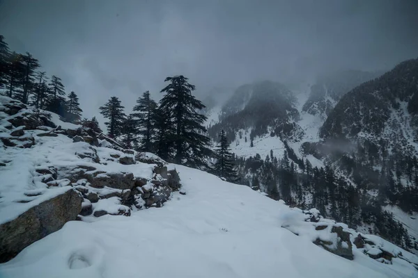 美丽的山景 — 图库照片