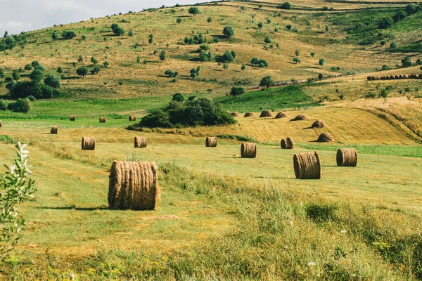 Hooibalen Het Veld — Stockfoto