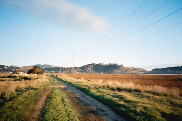 Bela Paisagem Com Campo Árvores Céu Azul — Fotografia de Stock