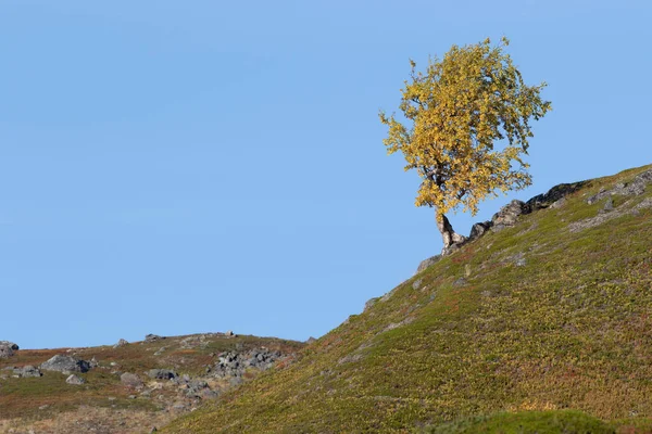 Uma Bela Vista Uma Paisagem Montesa — Fotografia de Stock