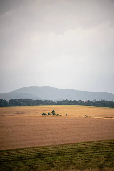 小麦畑と曇り空の美しい風景 — ストック写真
