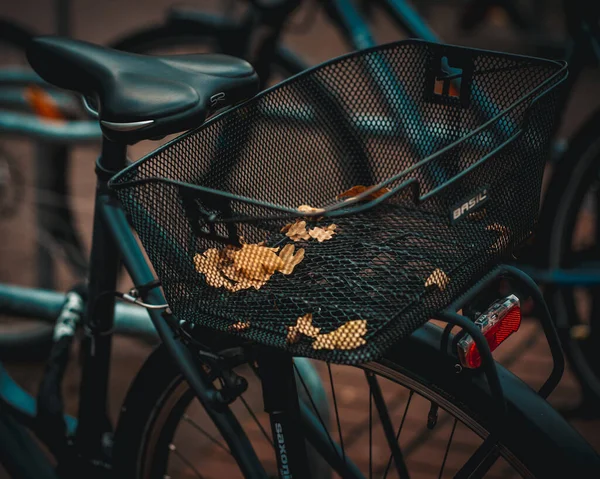 Bicicleta Ciudad —  Fotos de Stock