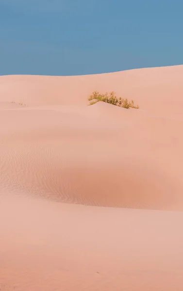 Hermosa Vista Dunas Fondo Naturaleza — Foto de Stock