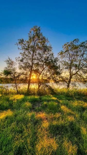 Beautiful Sunset Park — Stock Photo, Image