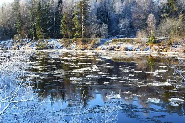 Bela Paisagem Inverno Com Árvores Cobertas Neve — Fotografia de Stock