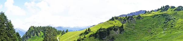 Hermoso Paisaje Montaña Con Hierba Verde Hora Verano —  Fotos de Stock