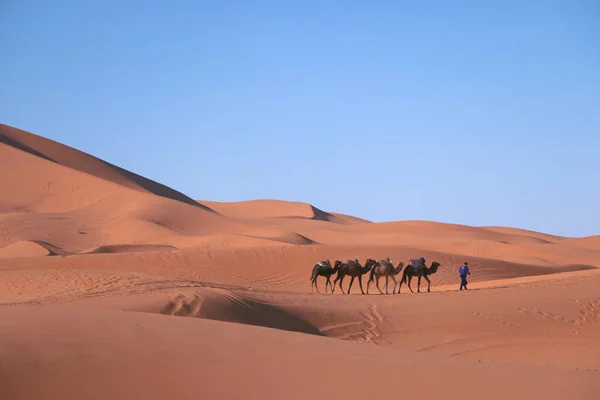 Красивый Пейзаж Пустыни Сахара Намибия — стоковое фото