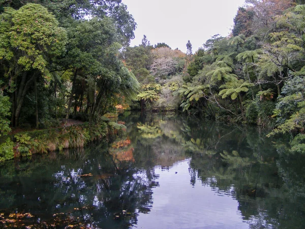 Bela Paisagem Rio Selva — Fotografia de Stock