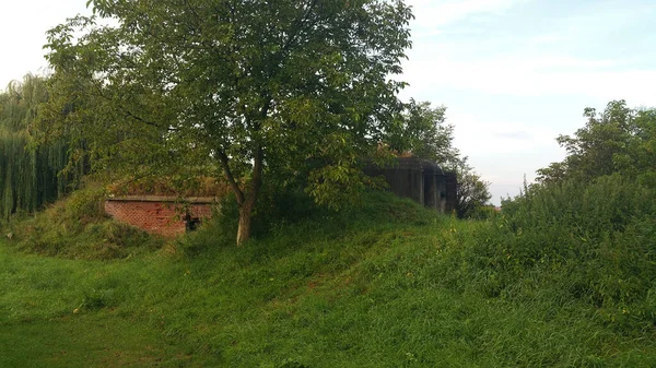 Gammalt Övergivet Hus Skogen — Stockfoto