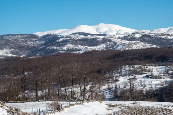 Wunderschöne Landschaft Mit Schneebedeckten Bäumen — Stockfoto