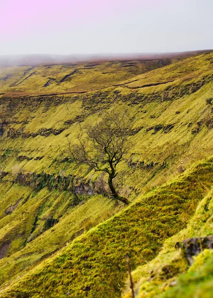 Schöne Landschaft Natur Fauna — Stockfoto