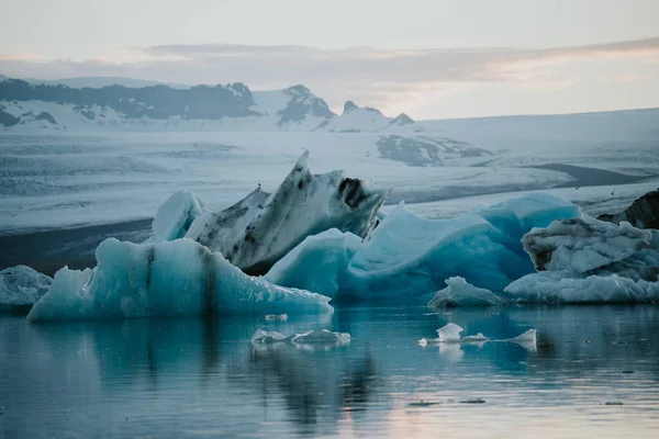 Vackert Landskap Det Antarktiska Havet — Stockfoto