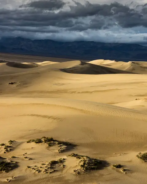 Gyönyörű Kilátás Nyílik Sivatagra — Stock Fotó