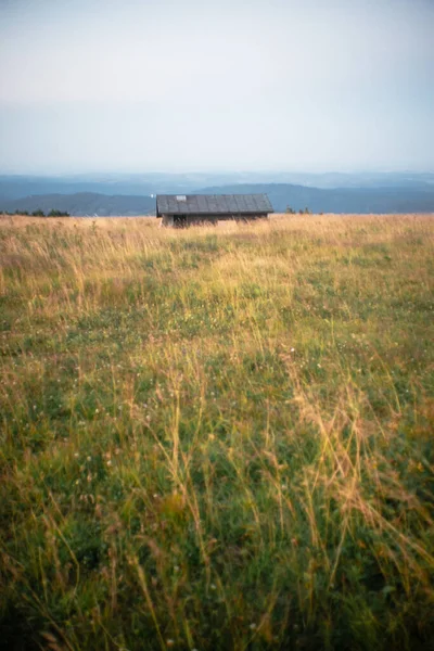 Schöne Landschaft Mit Einem Weizenfeld Und Einem Bewölkten Himmel — Stockfoto