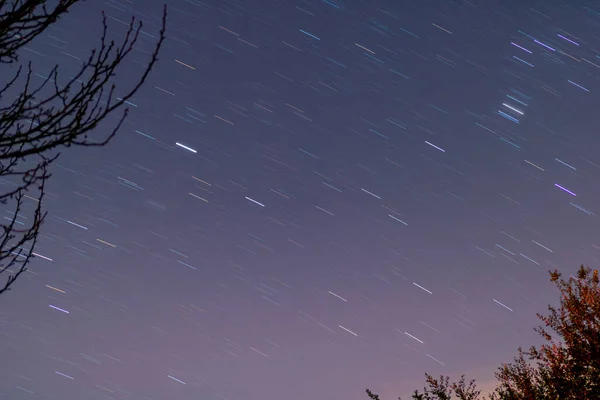 Nachtelijke Hemel Met Sterren Bomen — Stockfoto