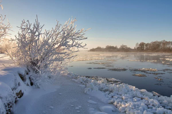 Paisagem Inverno Com Neve Árvores — Fotografia de Stock