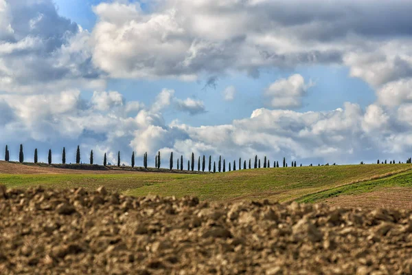 Vackert Landskap Med Ett Fält Grönt Gräs Och Blå Himmel — Stockfoto