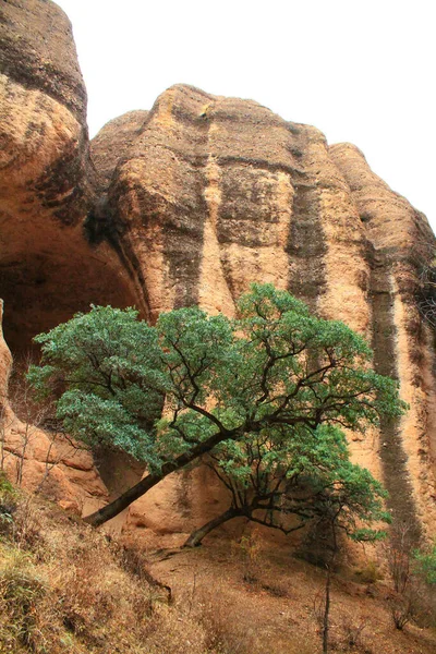 Dağların Güzel Manzarası — Stok fotoğraf