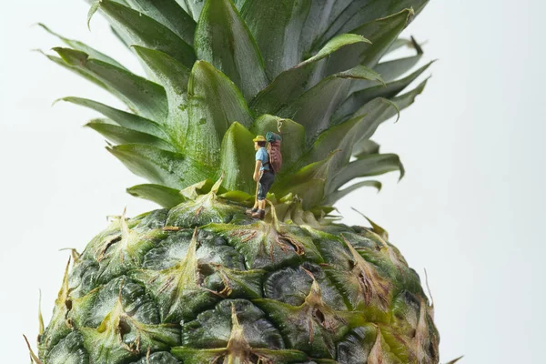 Ananas Mit Grünen Blättern Auf Weißem Hintergrund — Stockfoto