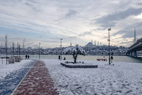 Winterlandschaft Mit Schnee Und Bäumen — Stockfoto