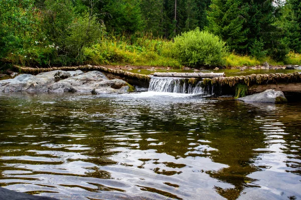 Beautiful Waterfall Forest — Stock Photo, Image