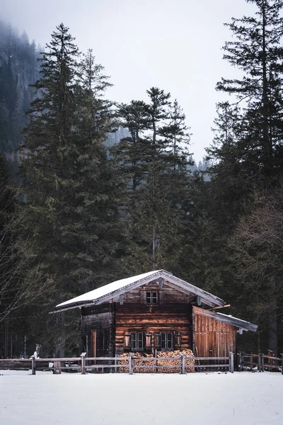 Wunderschöne Winterlandschaft Mit Schneebedeckten Bäumen — Stockfoto