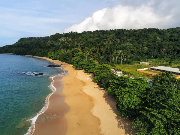 Belle Plage Tropicale Avec Palmiers Ciel Bleu — Photo