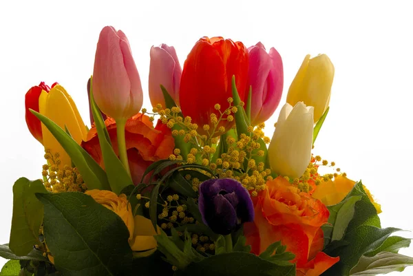 Mooi Boeket Van Tulpen Witte Achtergrond — Stockfoto