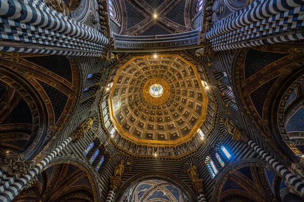 Interior Catedral Salvador Centro Mundo — Fotografia de Stock