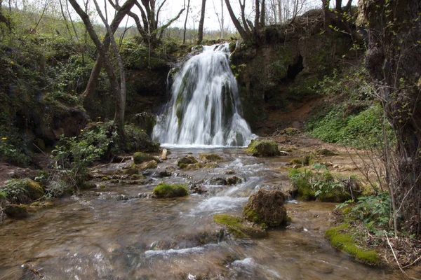 Cascade Dans Forêt — Photo